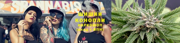 PSILOCYBIN Алзамай