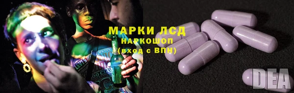 PSILOCYBIN Алзамай