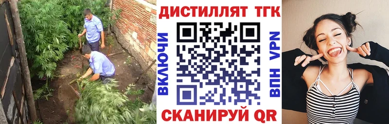 как найти   mega ссылки  Дистиллят ТГК THC oil  Красноармейск 