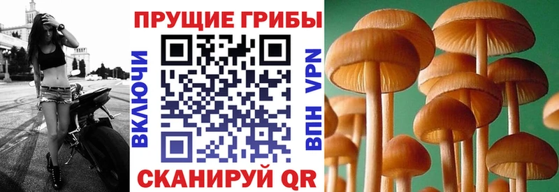 Галлюциногенные грибы ЛСД  ссылка на мегу ССЫЛКА  Красноармейск 